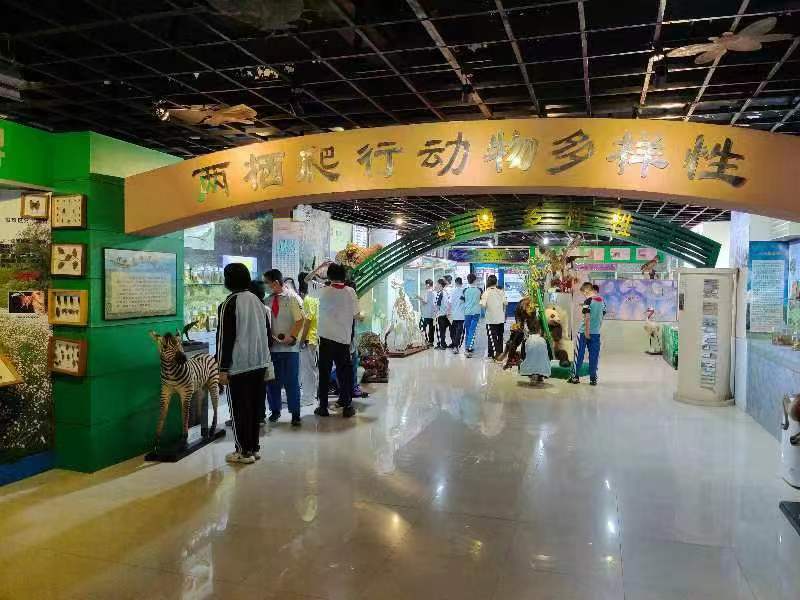 久久小说
组织学生参观海南生物多样性博物馆