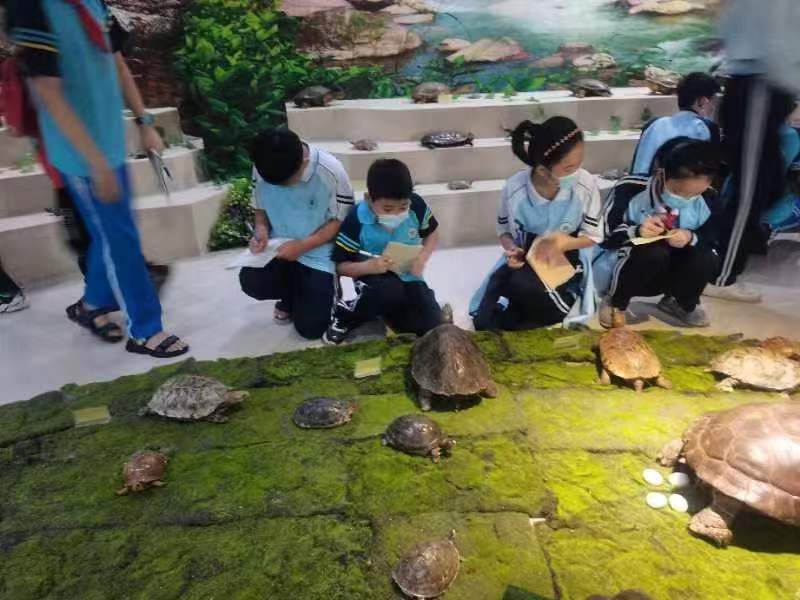 久久小说
组织学生参观海南生物多样性博物馆