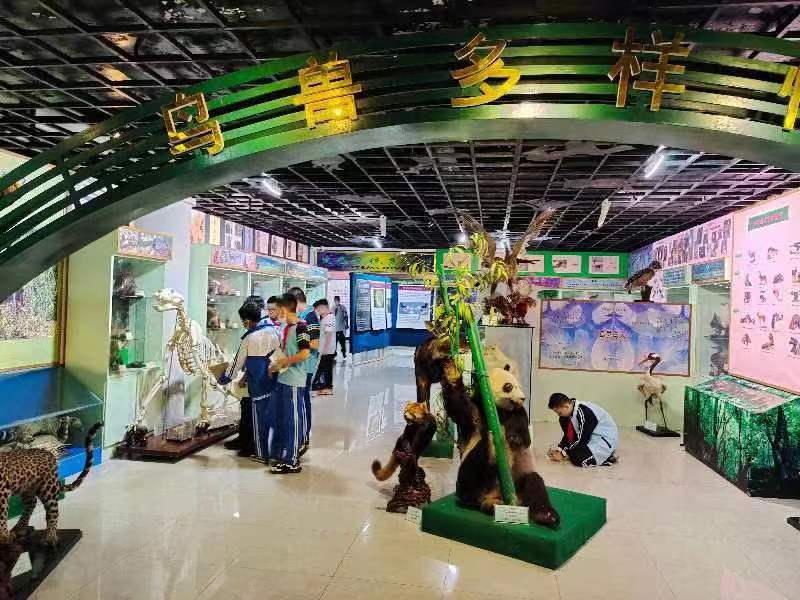 久久小说
组织学生参观海南生物多样性博物馆