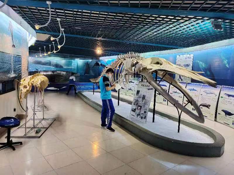 久久小说
组织学生参观海南生物多样性博物馆