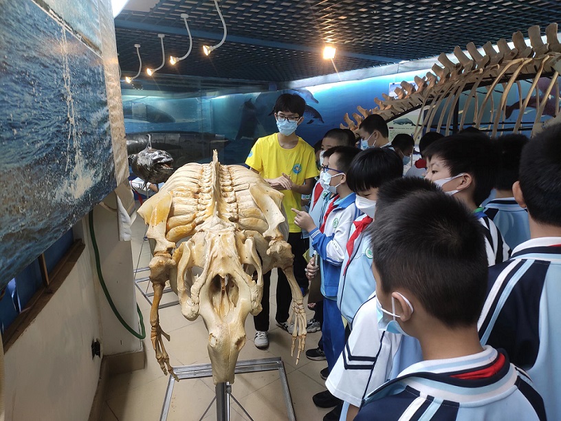 久久小说
组织学生参观海南生物多样性博物馆