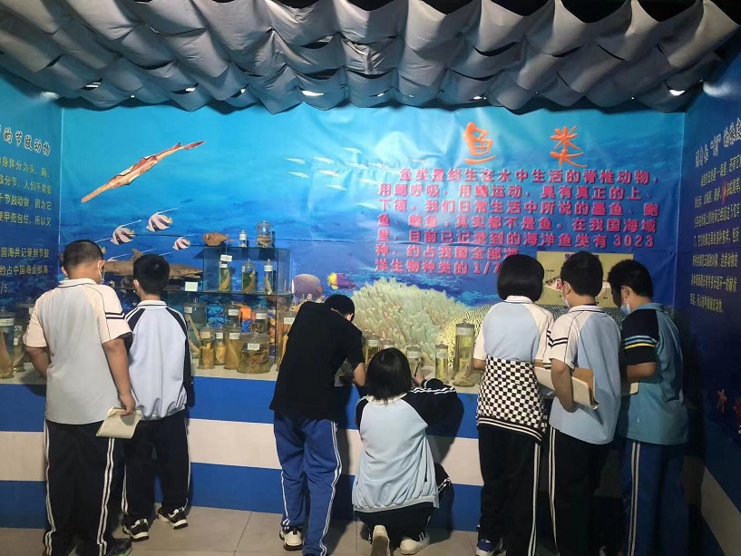 久久小说
组织学生参观海南生物多样性博物馆