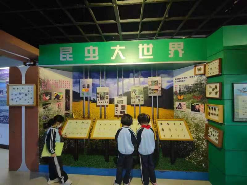 久久小说
组织学生参观海南生物多样性博物馆