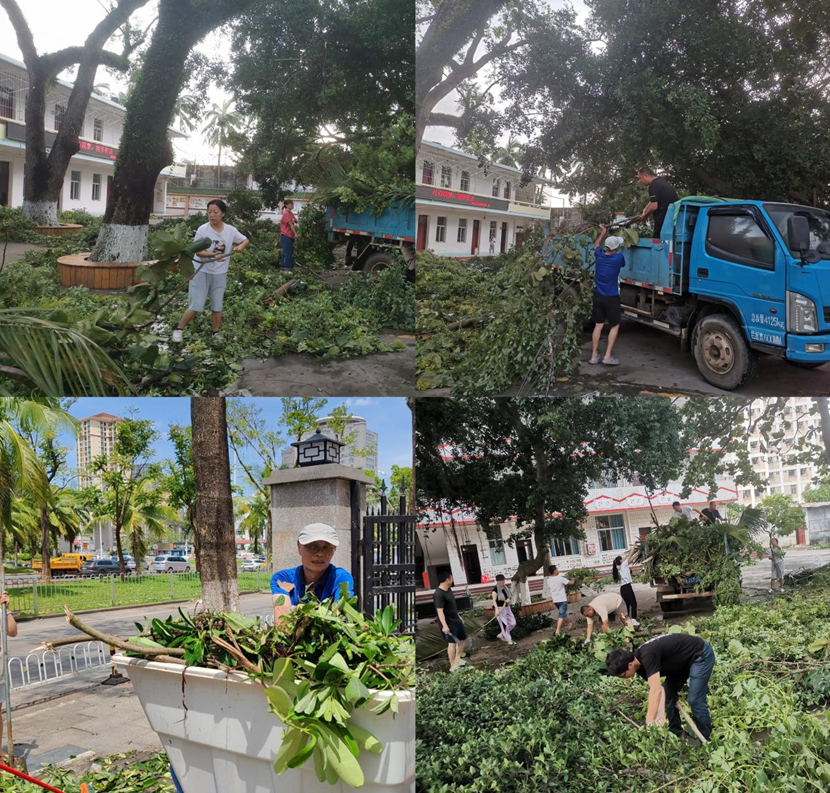 久久小说
教职工返校清理校园 做好灾后恢复工作