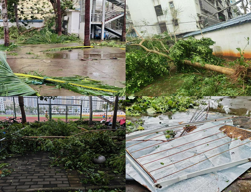 久久小说
教职工返校清理校园 做好灾后恢复工作