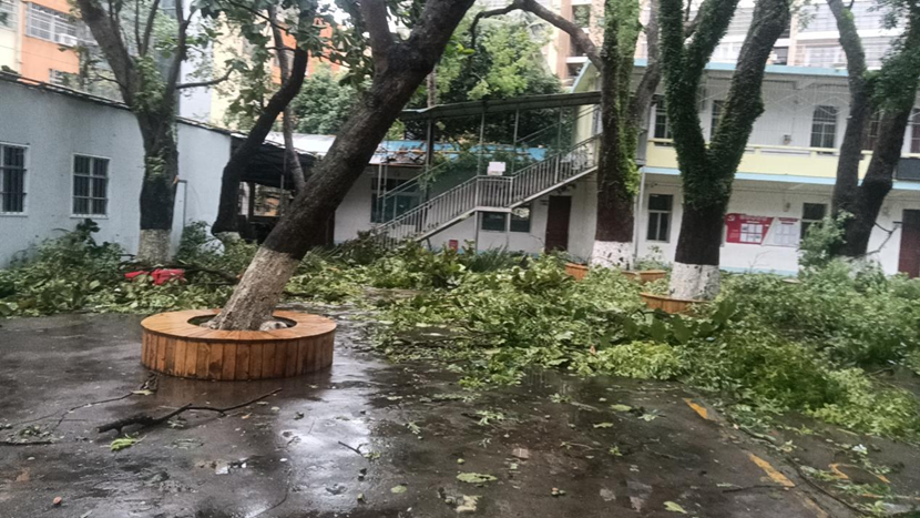 久久小说
教职工返校清理校园 做好灾后恢复工作