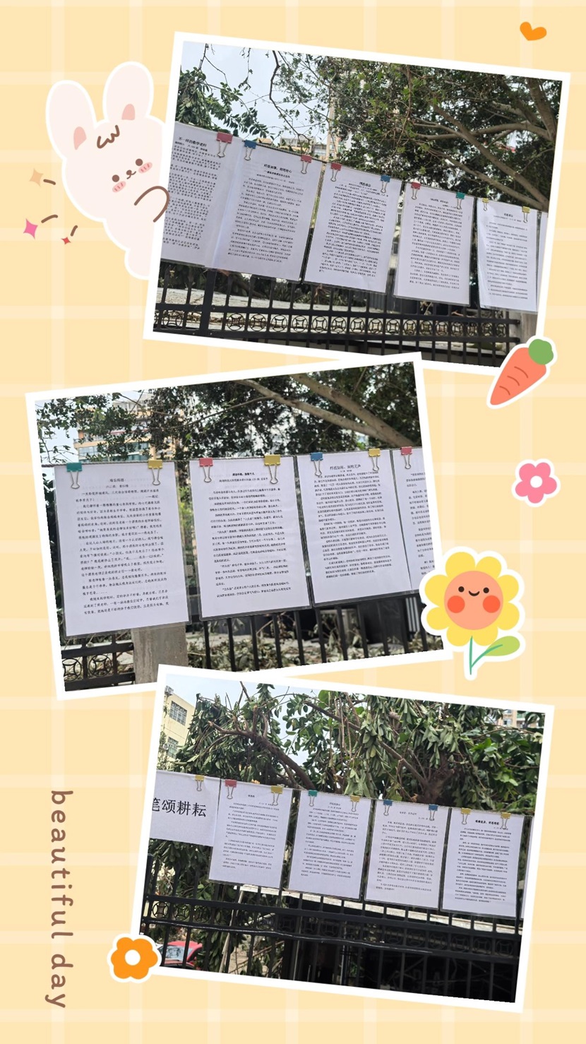 不负“师光”,向阳而生―― 久久小说
教师节主题活动